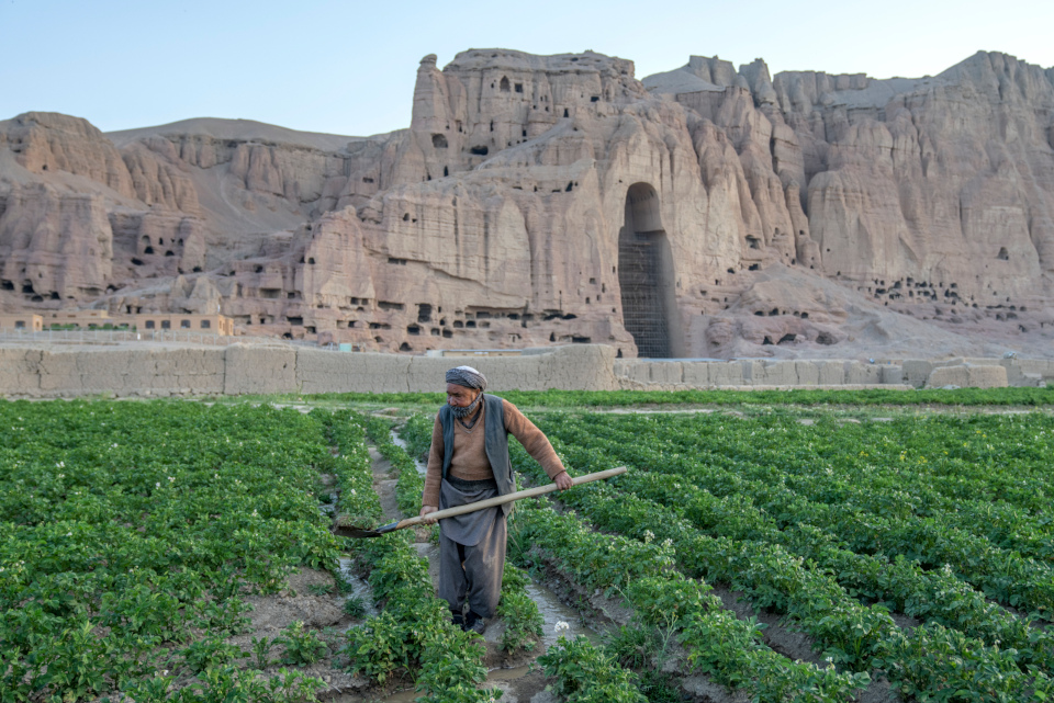 A farmer works a field in Bamyan Province near the remnants of a Buddha statue destroyed by the Taliban in 2001. (AP Photo/Ebrahim Noroozi)